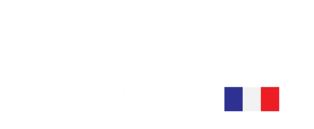 dem in france logo